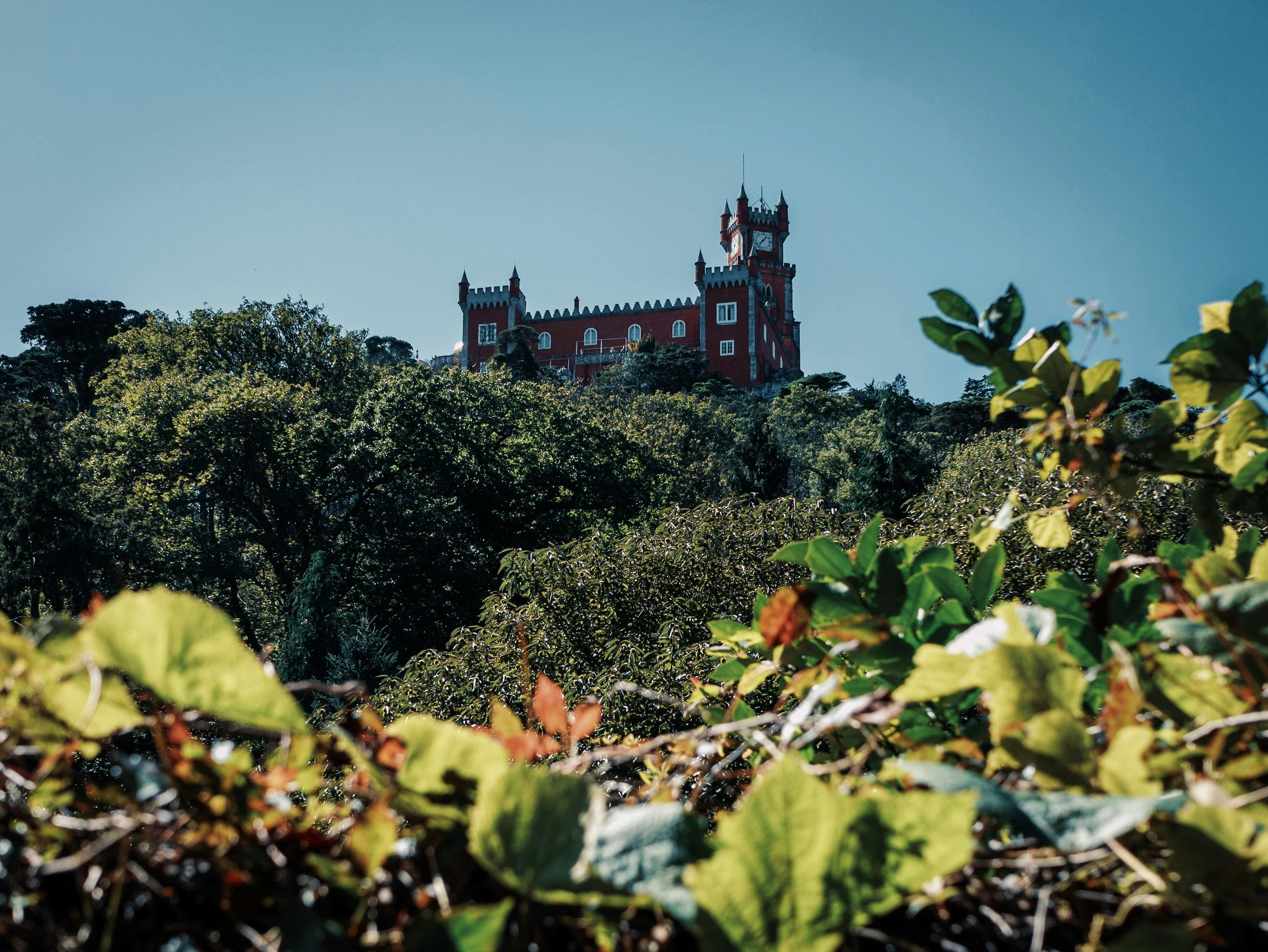 Romantic Pena Palace emerging above the treetops in Sintra’s forested hills
