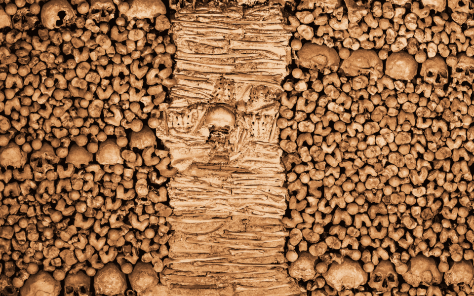 Detailed close-up of a wall made of human bones and skulls inside the Chapel of Bones in Évora, Portugal.