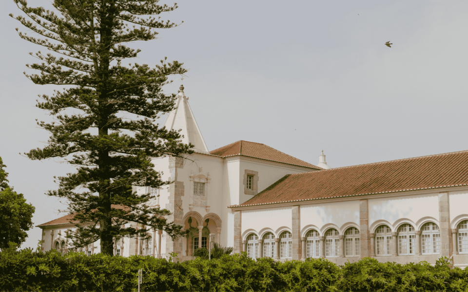 Historic Convent of Lóios in Évora, Portugal, with whitewashed façade, arched windows and red tiled roof behind a tall pine tree.