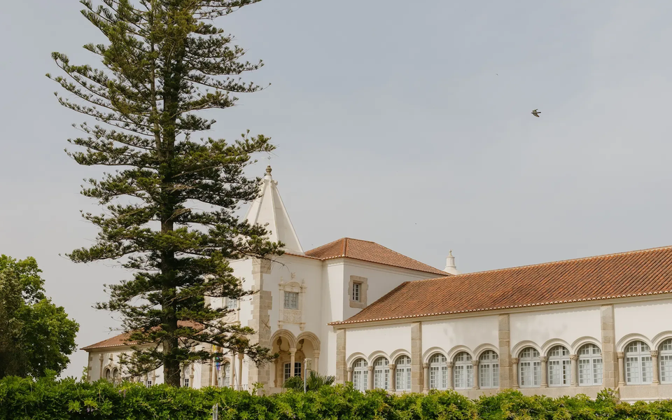 Historic Convent of Loios and Ducal Palace in Évora, Portugal, with traditional architecture and pine tree in the foreground under a clear sky.