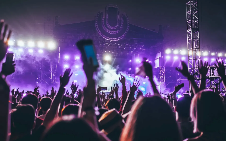 A vibrant crowd with raised hands dances under purple lights at the main stage of Indie Music Fest 2025. Smoke and lighting effects frame the scene, creating a high-energy nighttime concert atmosphere.