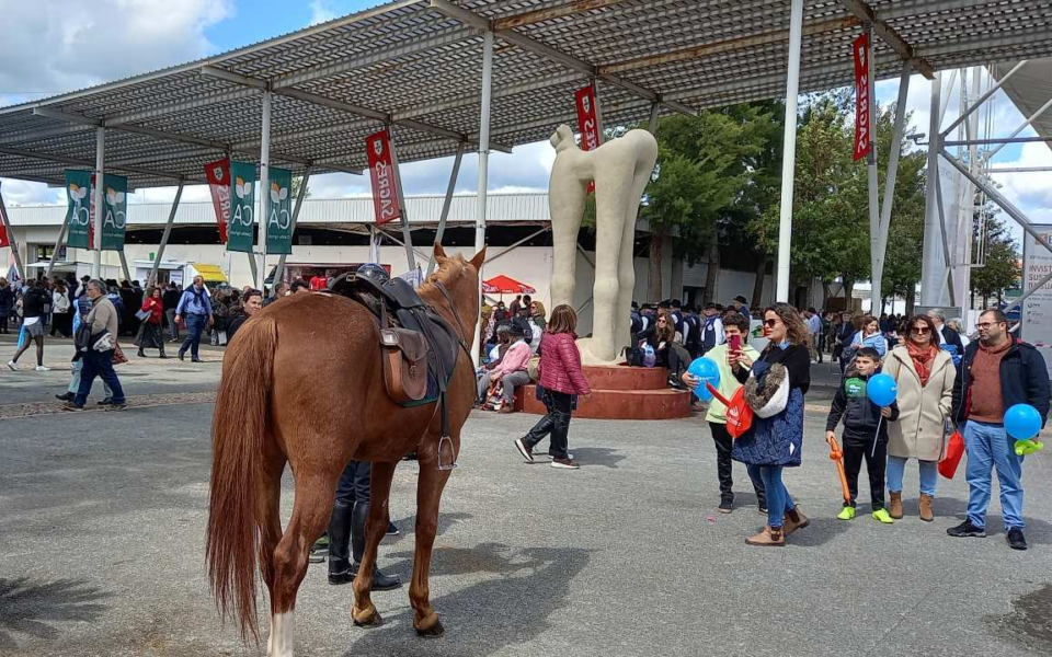 Saddled horse next to visitors at Ovibeja entrance, featuring sculptures and a family-friendly atmosphere