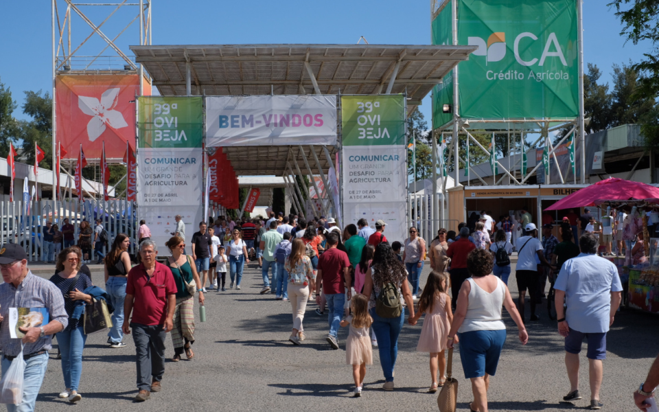 Crowd entering Ovibeja under welcome banners and sponsor flags