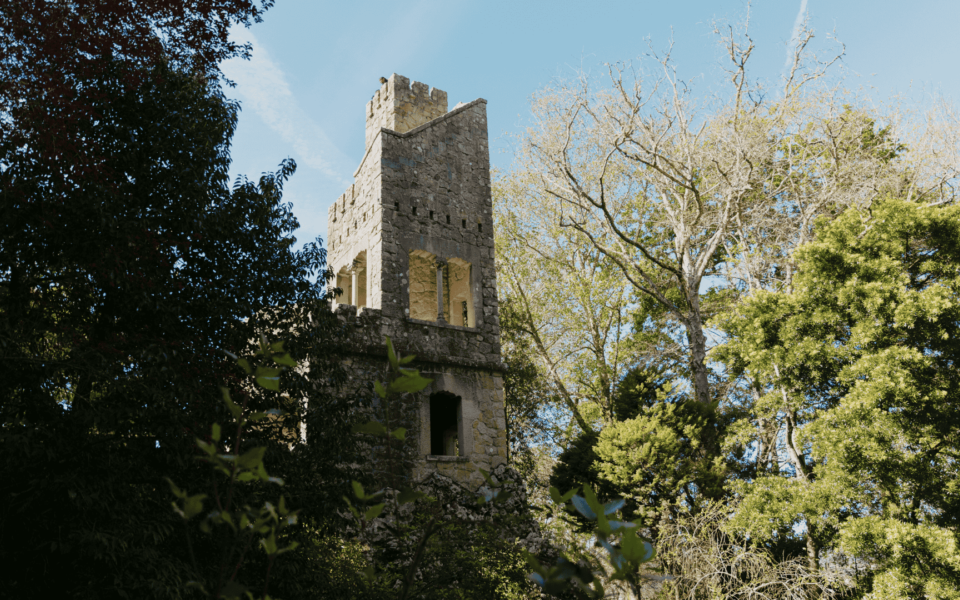 Medieval-style stone tower rising above the lush green forest in the gardens of Quinta da Regaleira, Sintra, Portugal, under a clear blue sky.